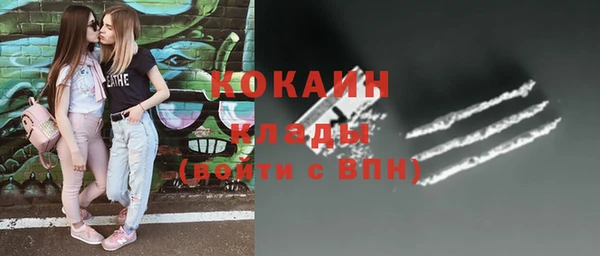 индика Няндома