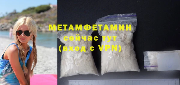 индика Няндома