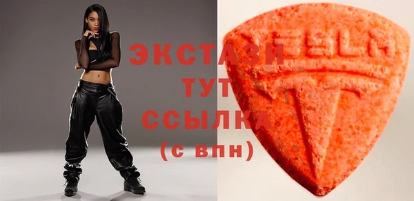 индика Няндома