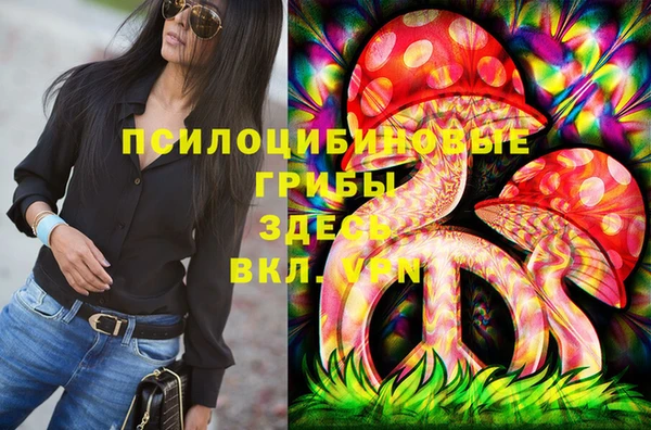 индика Няндома