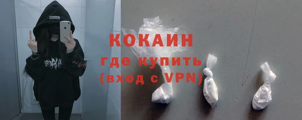 индика Няндома