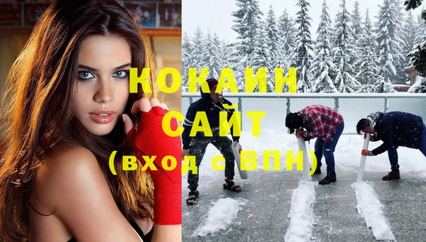 индика Няндома