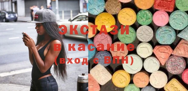 индика Няндома