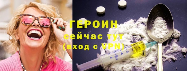 индика Няндома