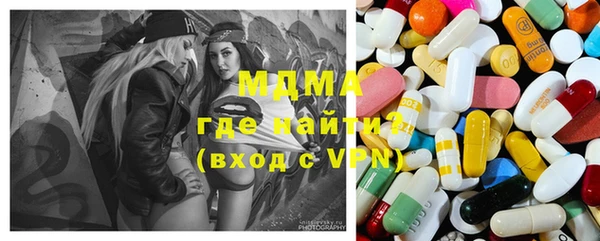 индика Няндома