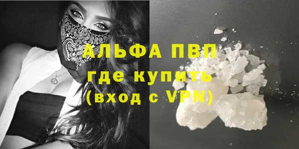 индика Няндома
