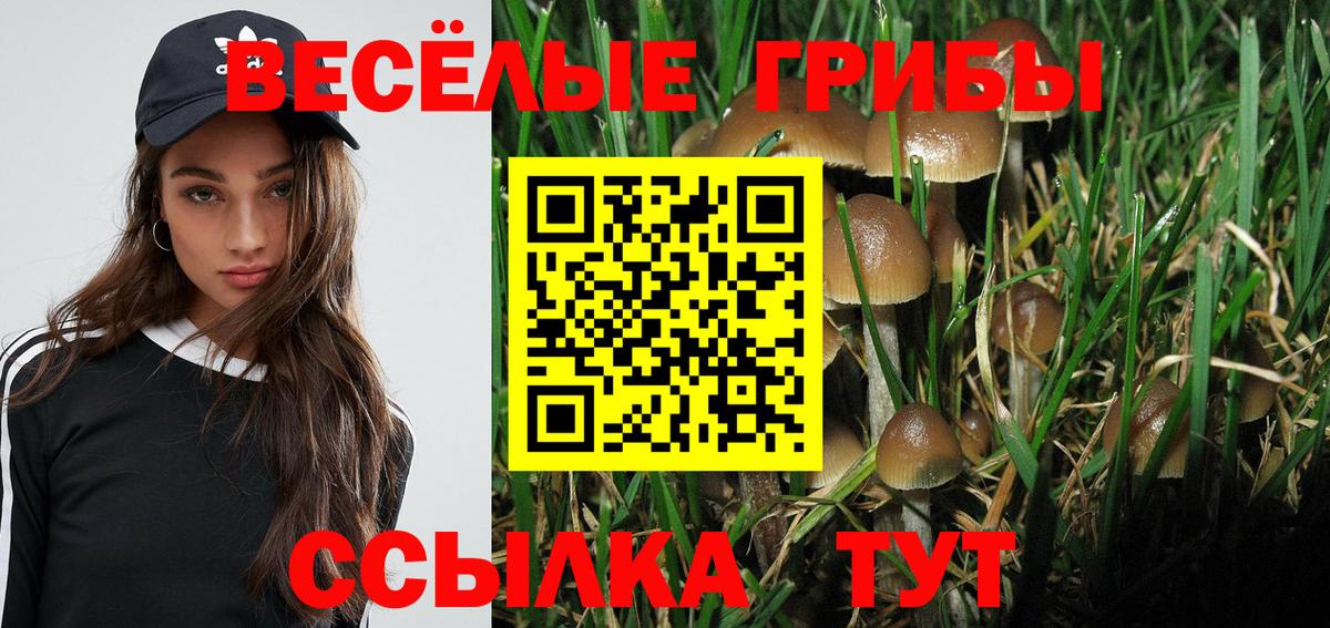 Марихуана  Хэш  Вход с VPN  МЕФ  Alpha-PVP  Светлоград  КОКАИН  МЕФ 