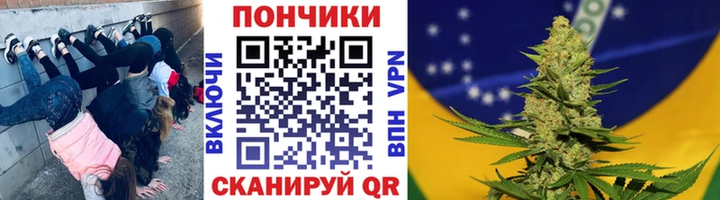 Шишки марихуана сатива OMG вход Светлоград